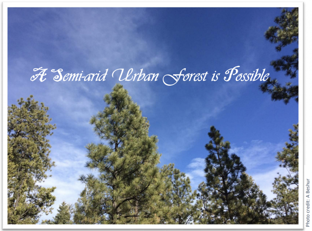 Santa Fe Tree Inventory Analysis – Seeds of Wisdom